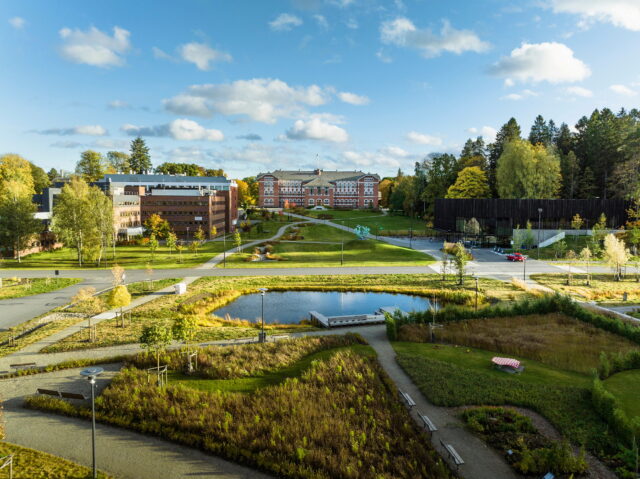 Bilde av bygninger i fint høstlys, mye gress og planter rundt.